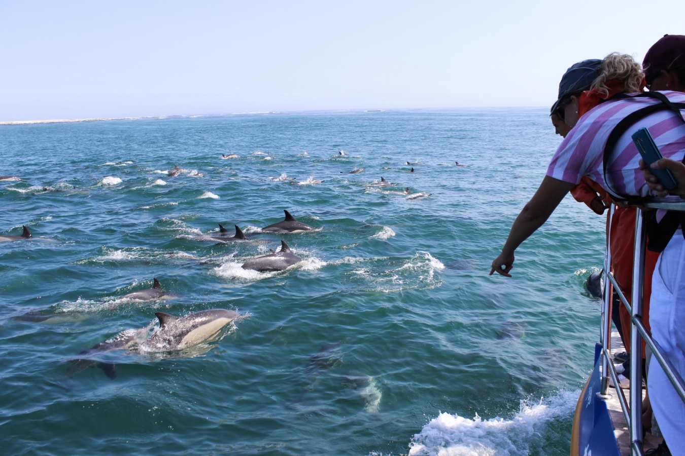 Marine Safari Grootbos