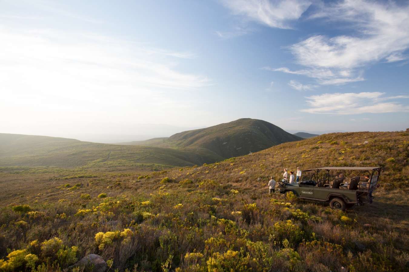 Grootbos safari