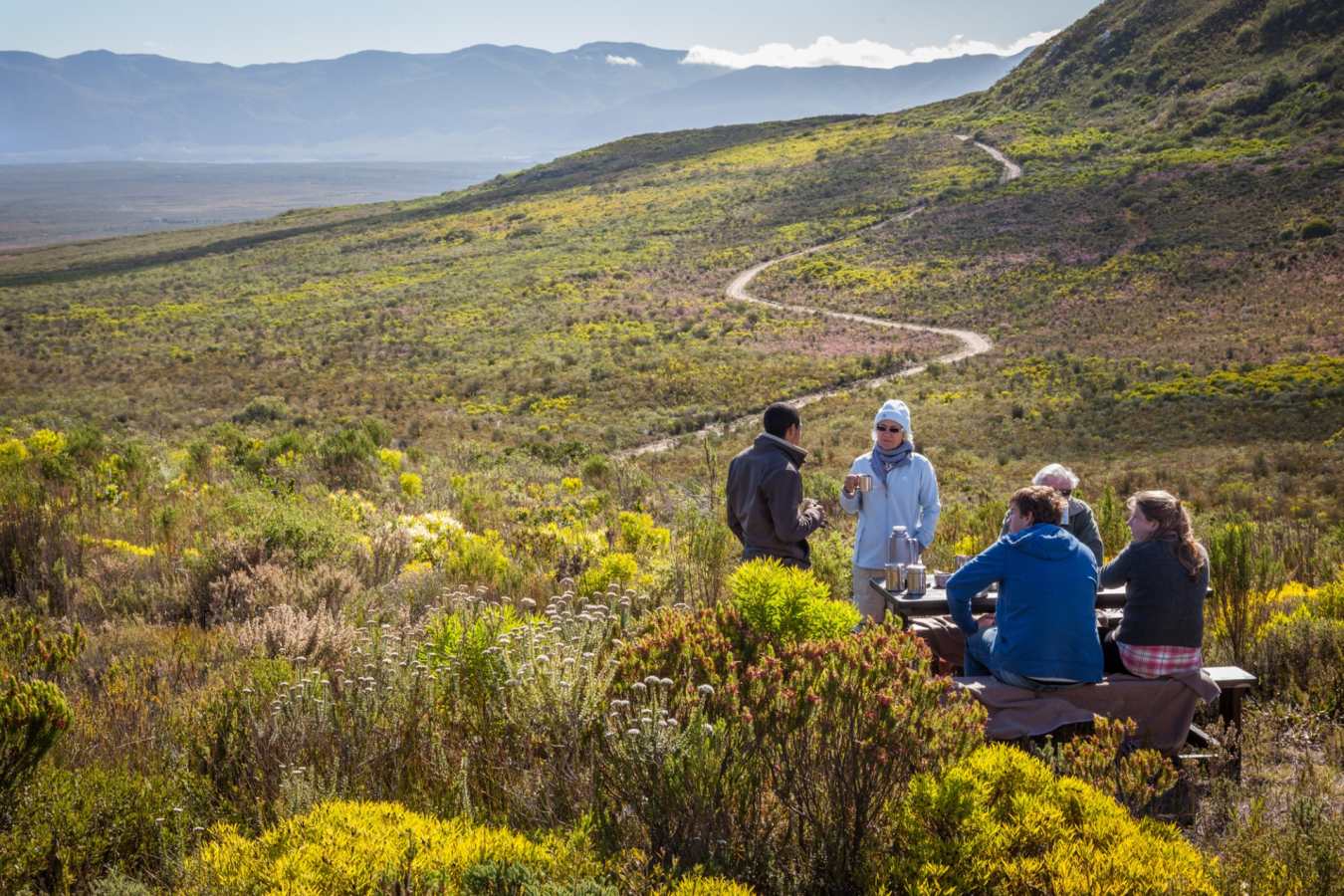 Grootbos picnic