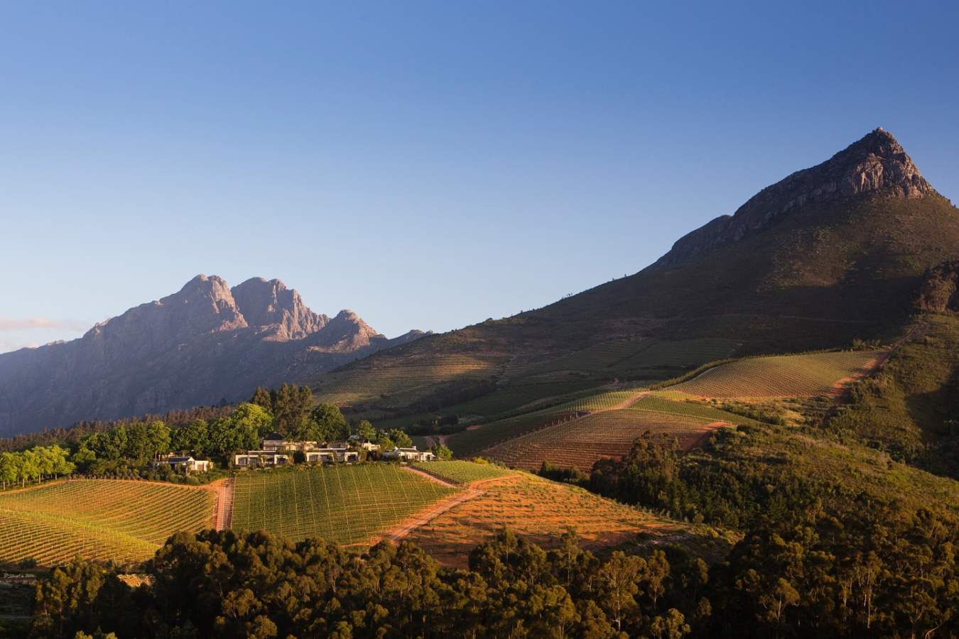 The Winelands