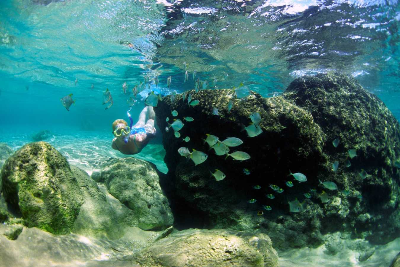 Snorkelling on the reef - South Africa Uncovered
