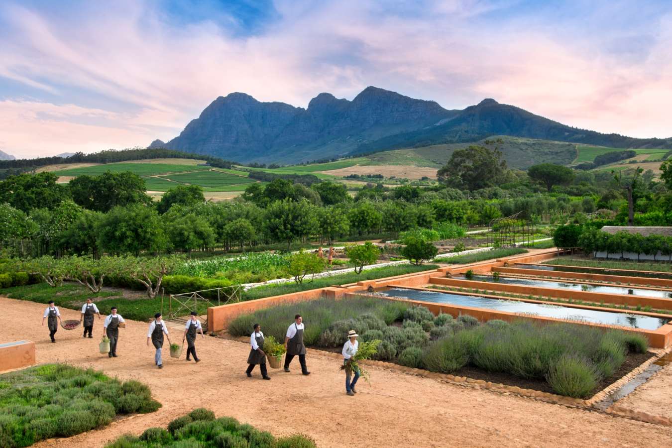 Babylonstoren Gardens