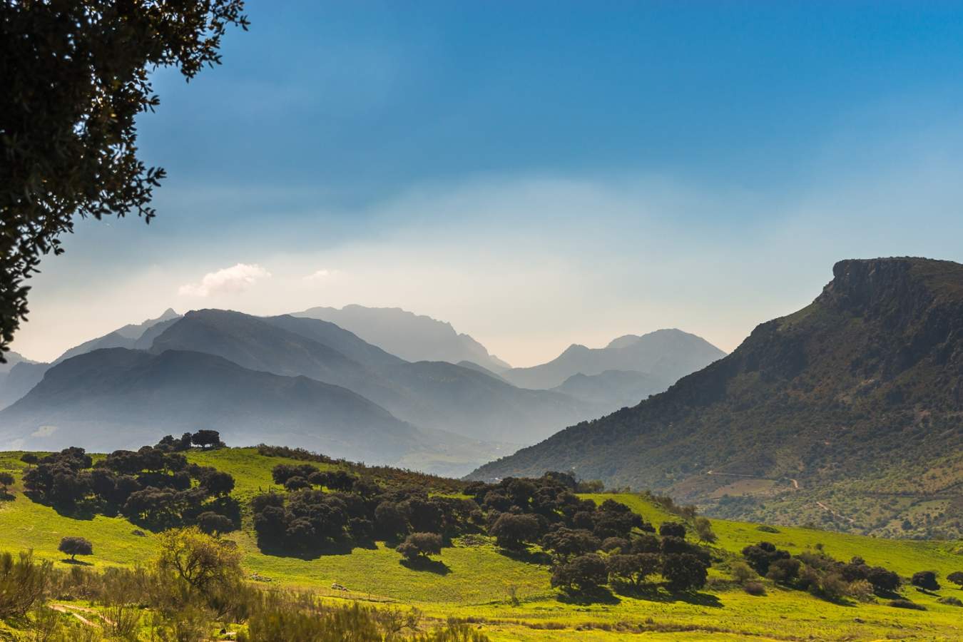 View - Finca La Donaira