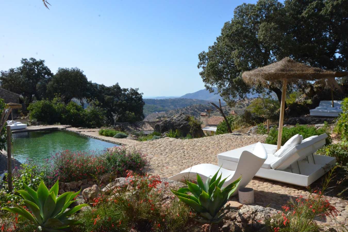 Pool - Finca La Donaira