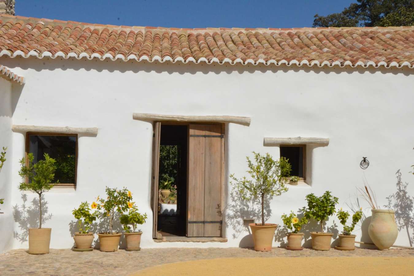 Entrance - Finca La Donaira
