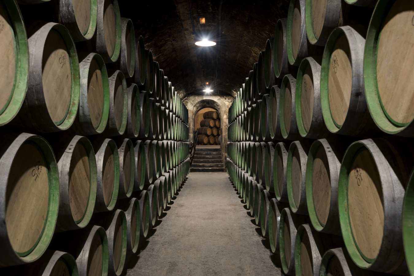 Winery barrels - Hotel Marques de Riscal