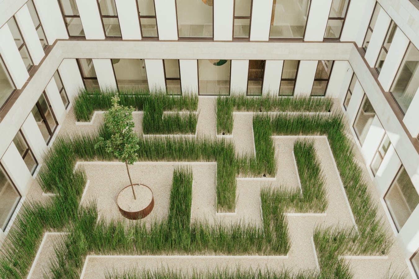 Maze - Room Building 