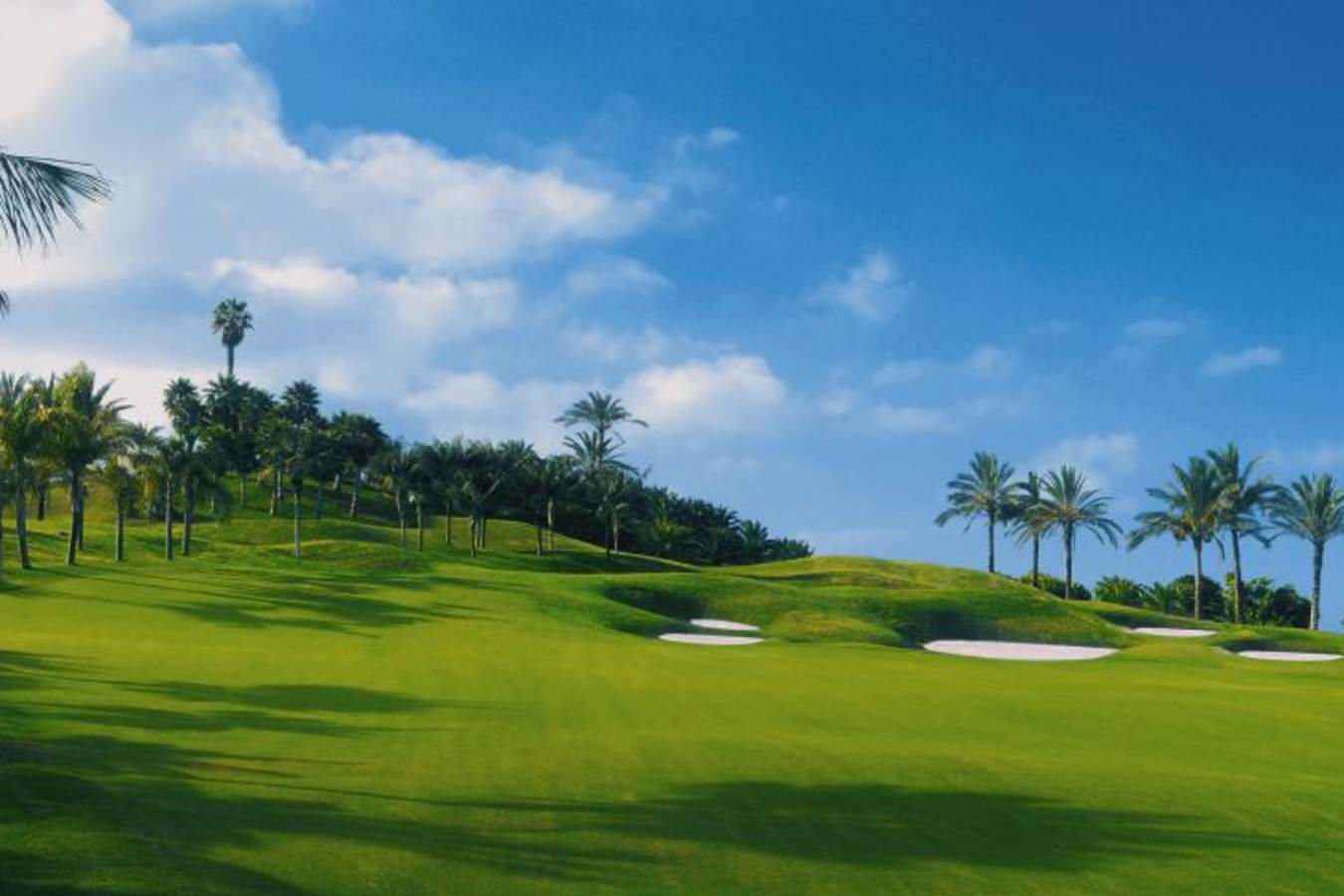 Golf Course - The Ritz-Carlton, Abama