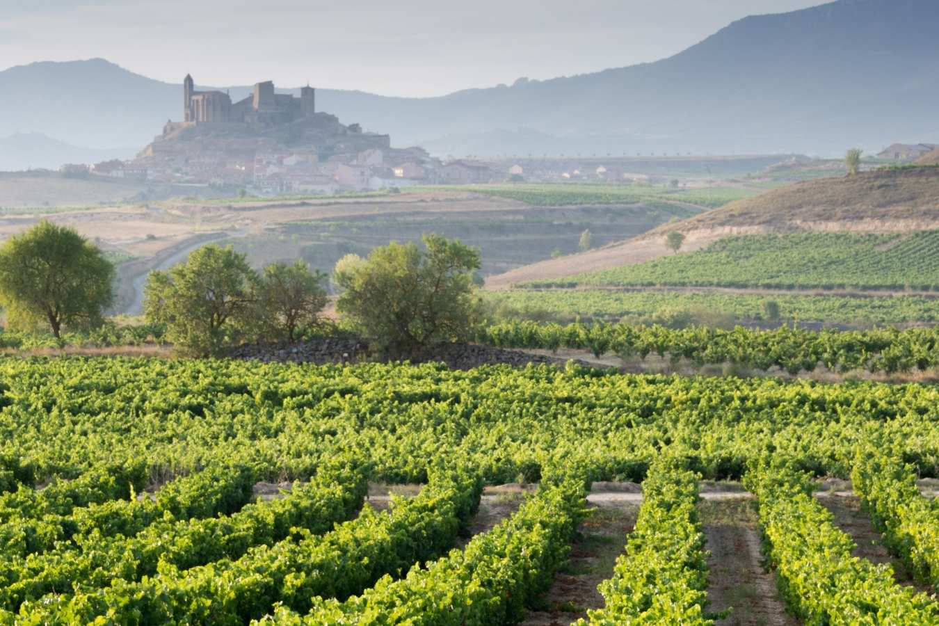 Vineyards - Indulgent escape to the Basque Country