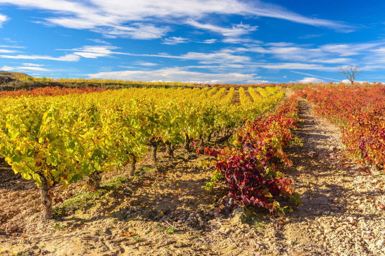 La Rioja - Indulgent escape to the Basque Country