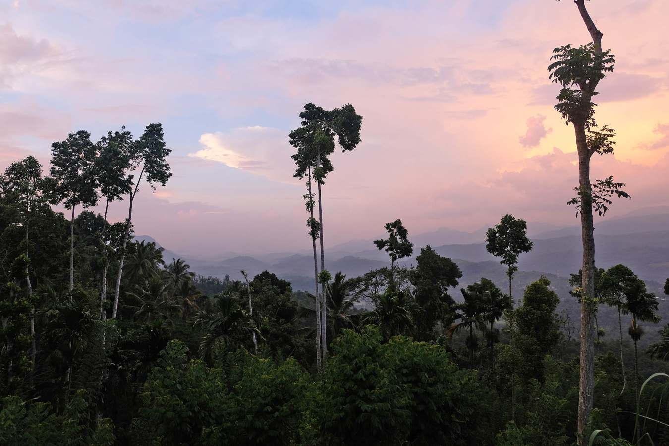 Sunset Views - Aarunya Nature Resort