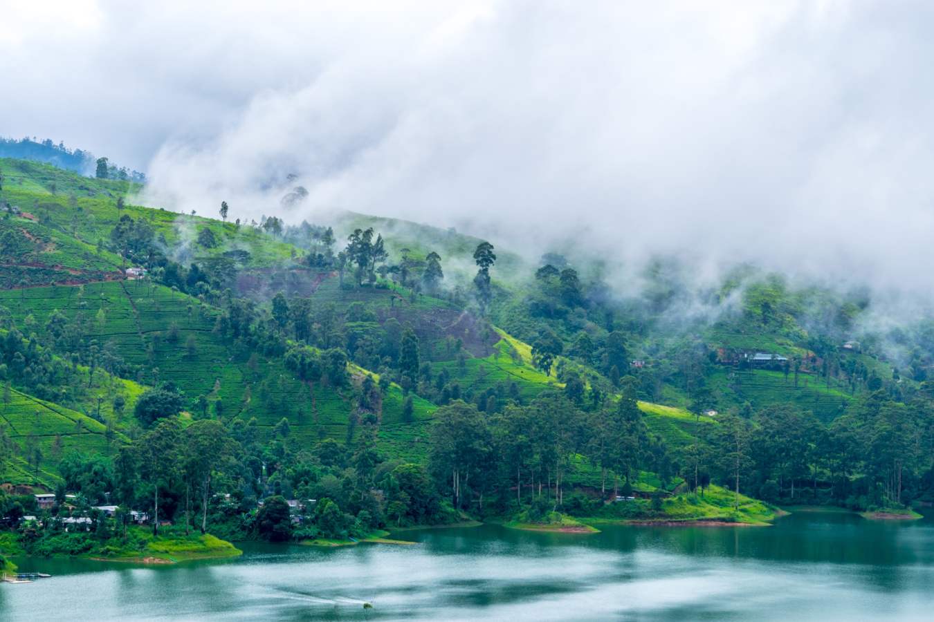 View over the Lake - Camellia Hills
