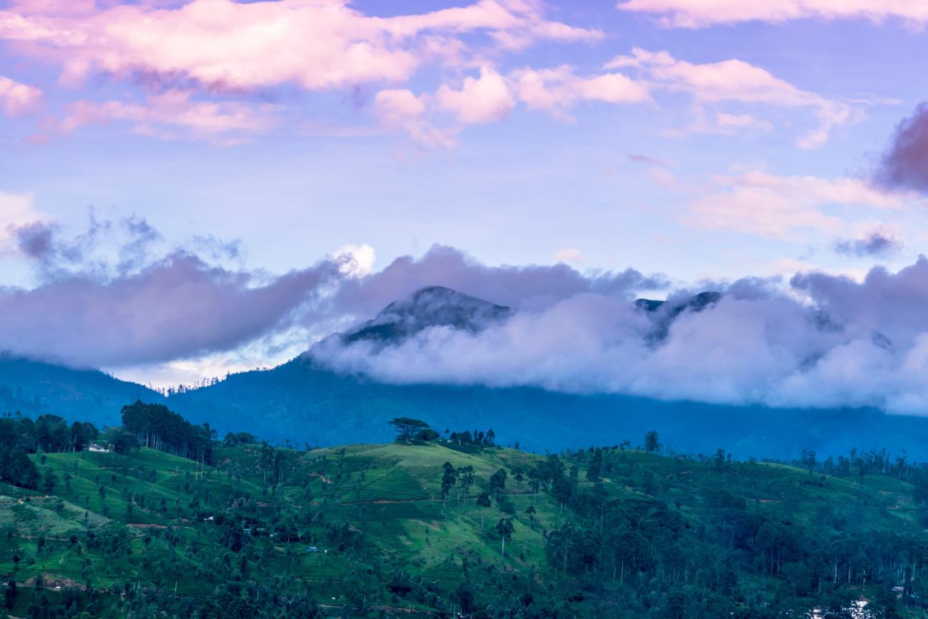 Incredible Views - Camellia Hills
