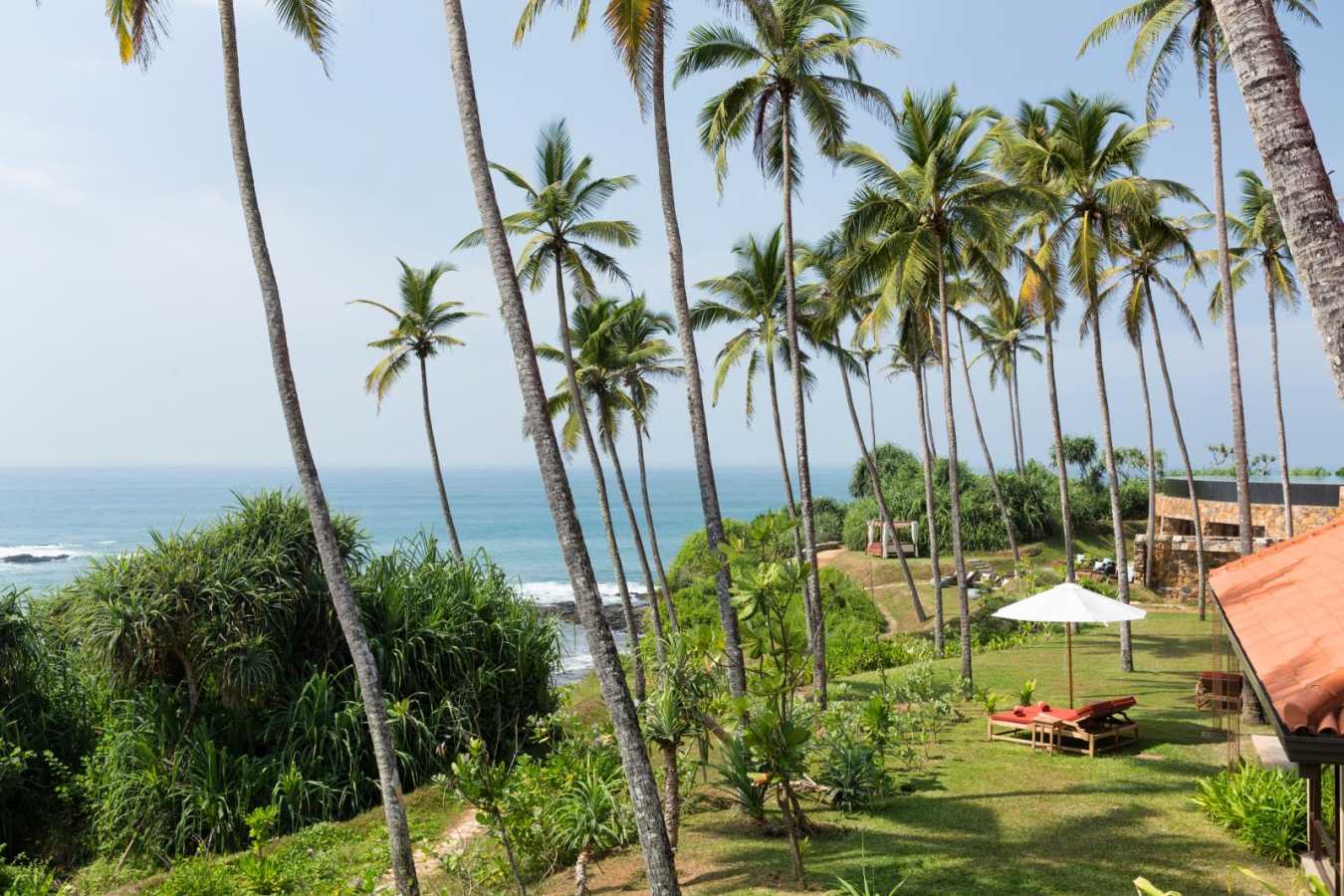 Garden - Cape Weligama
