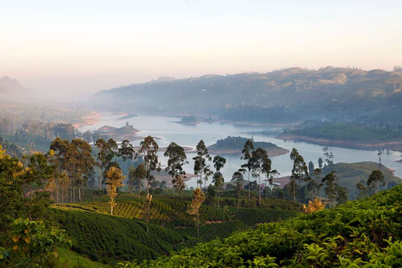 Views - Ceylon Tea Trails