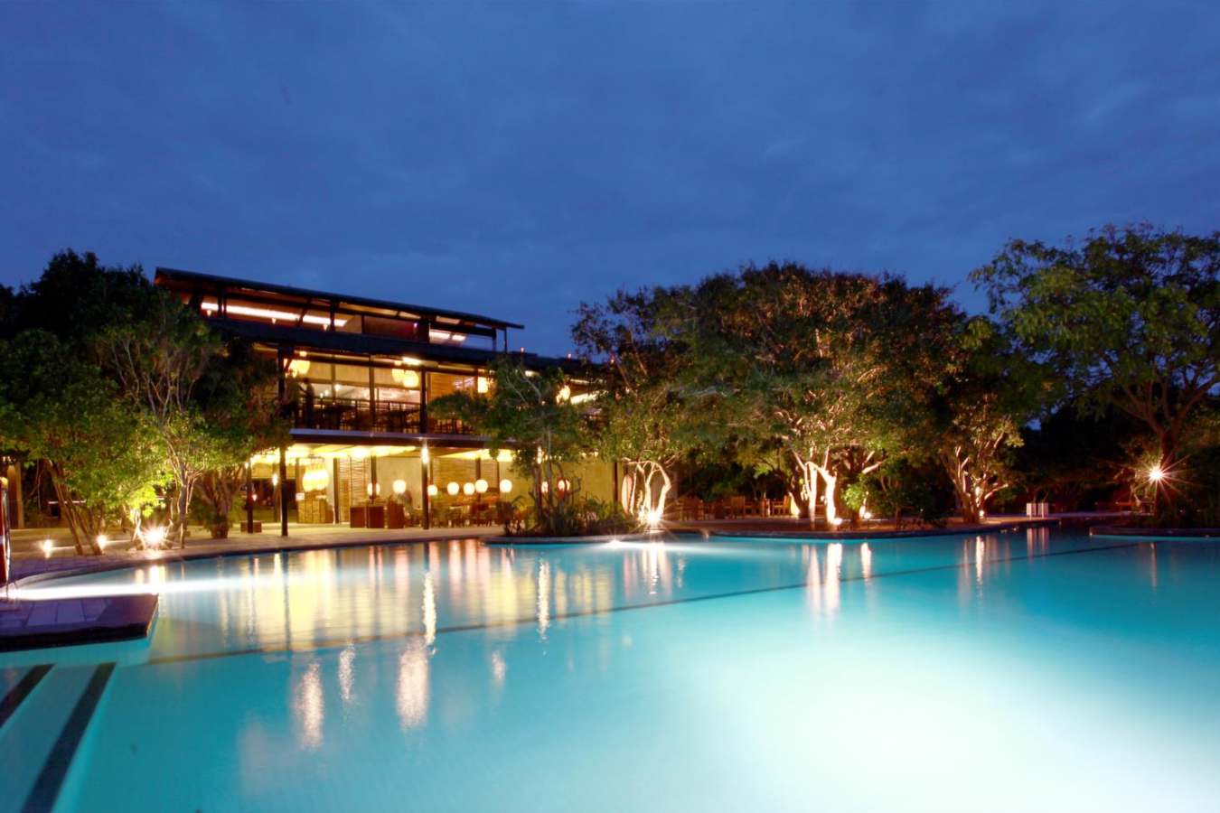 Evening View - Cinnamon Wild