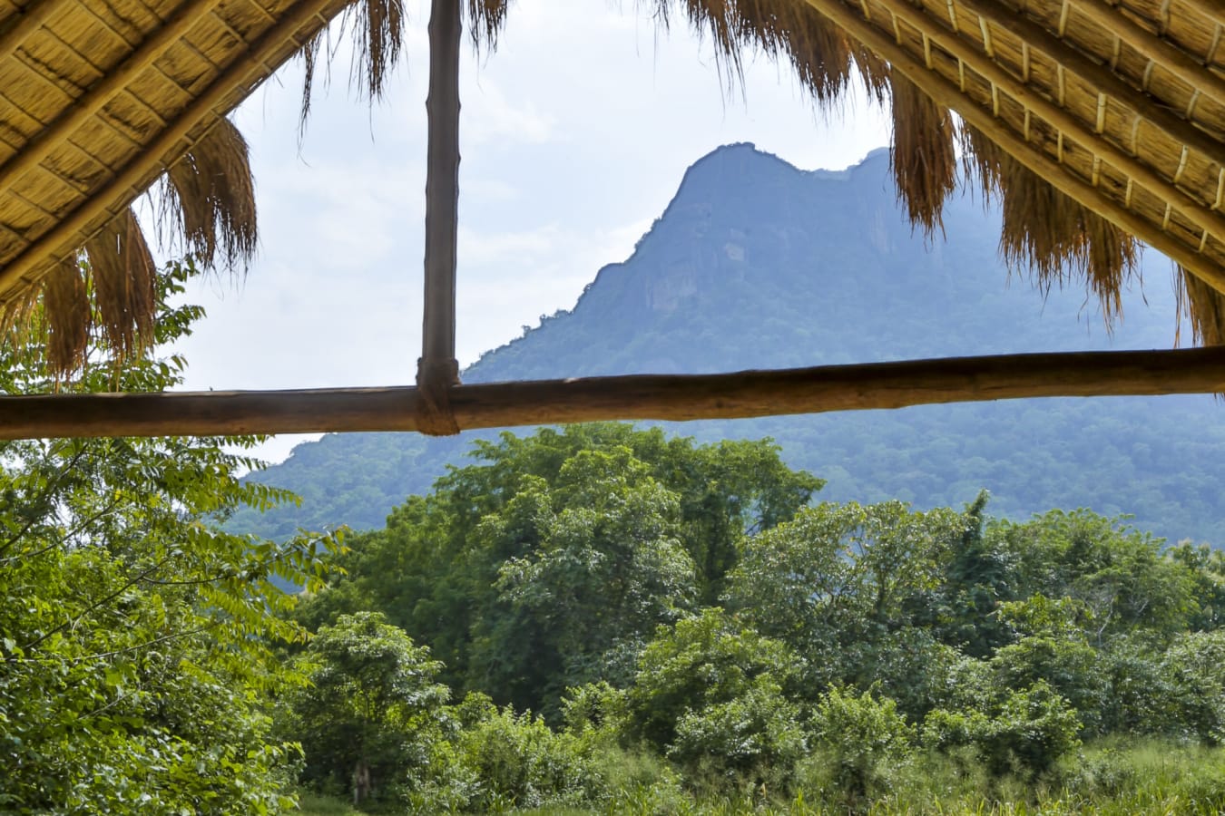 The View - Gal Oya Lodge  
