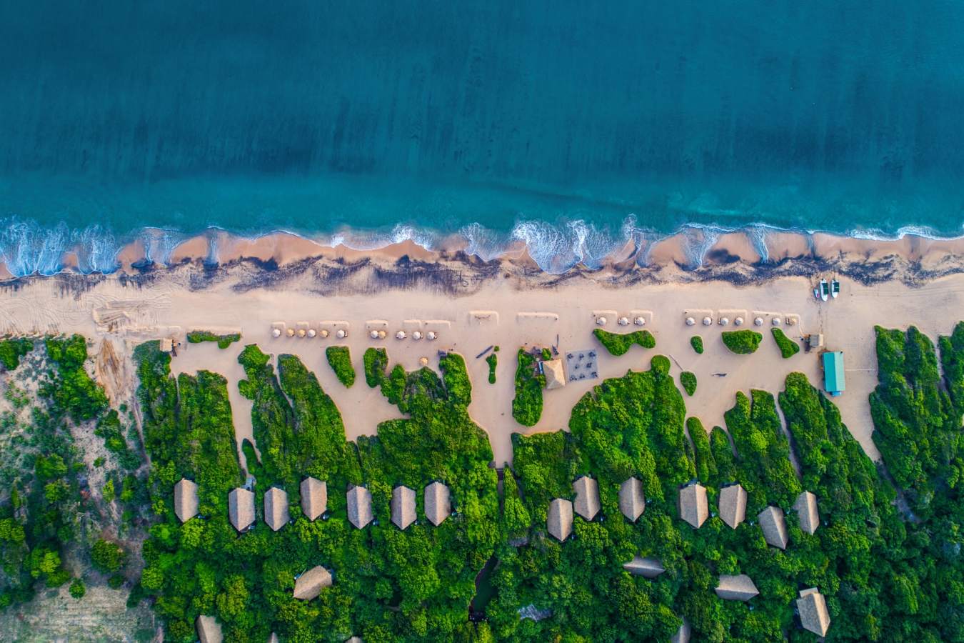 Aerial View - Jungle Beach