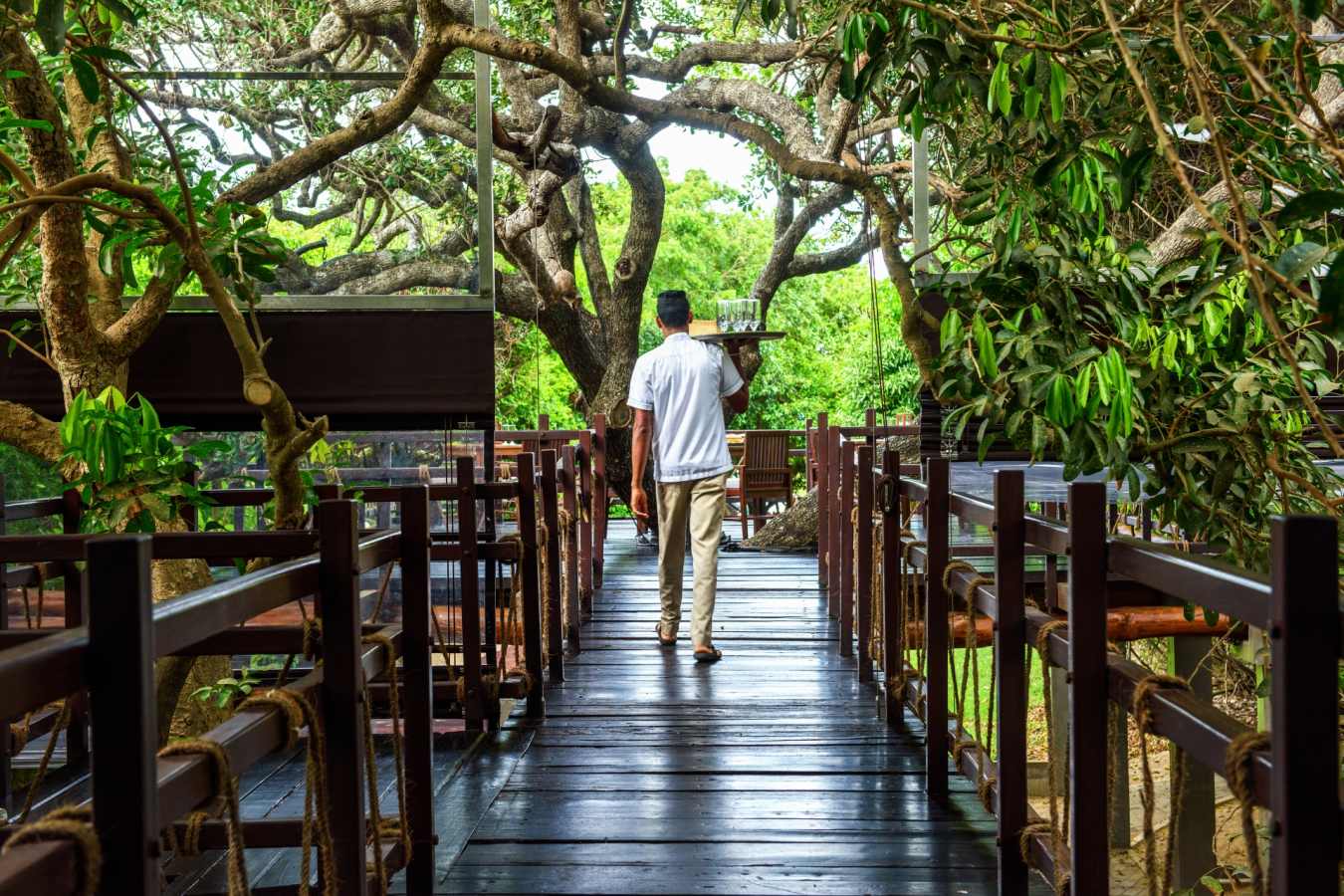 Walkways - Jungle Beach