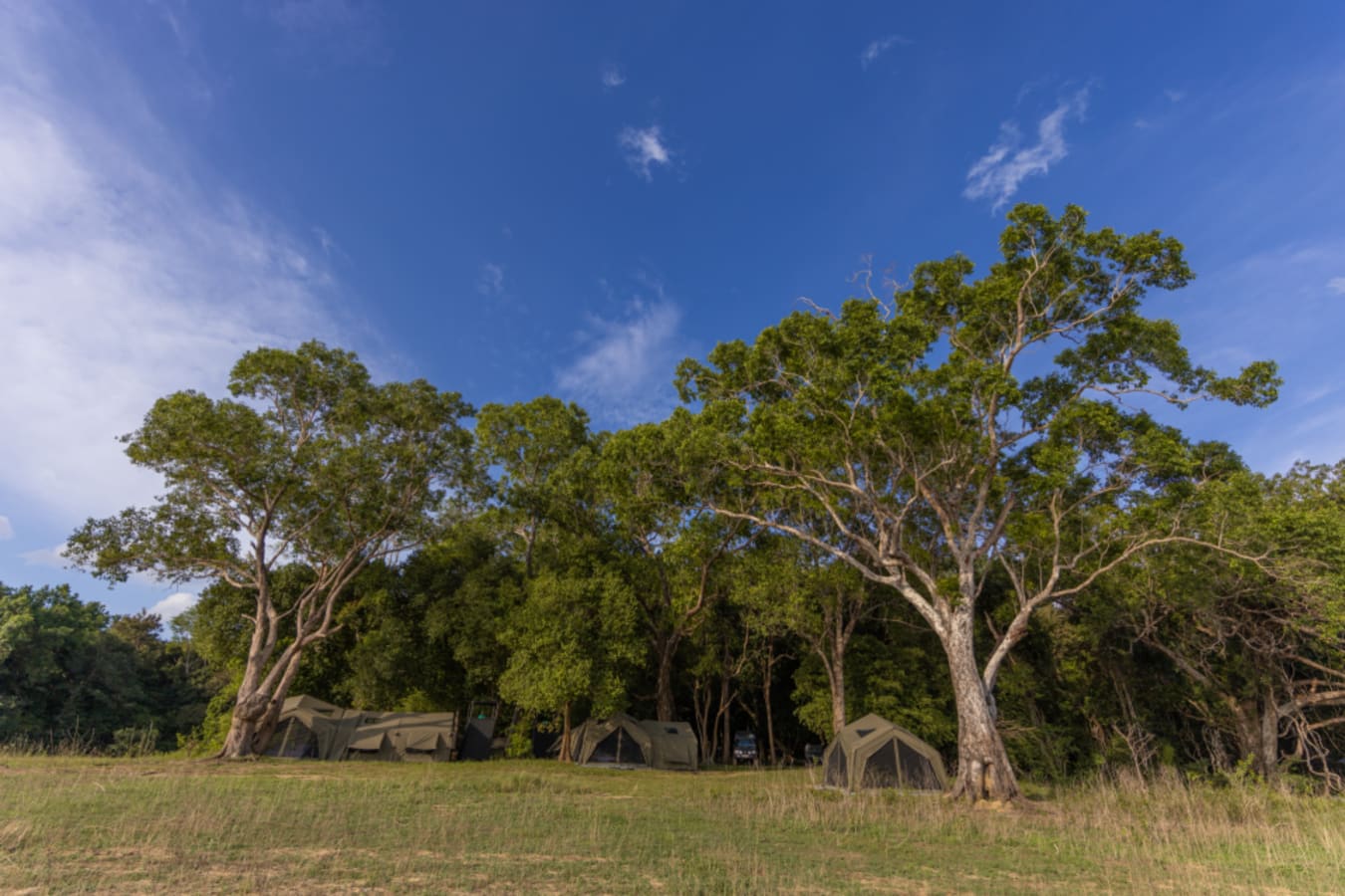 Under the trees - Kumana Under Canvas 