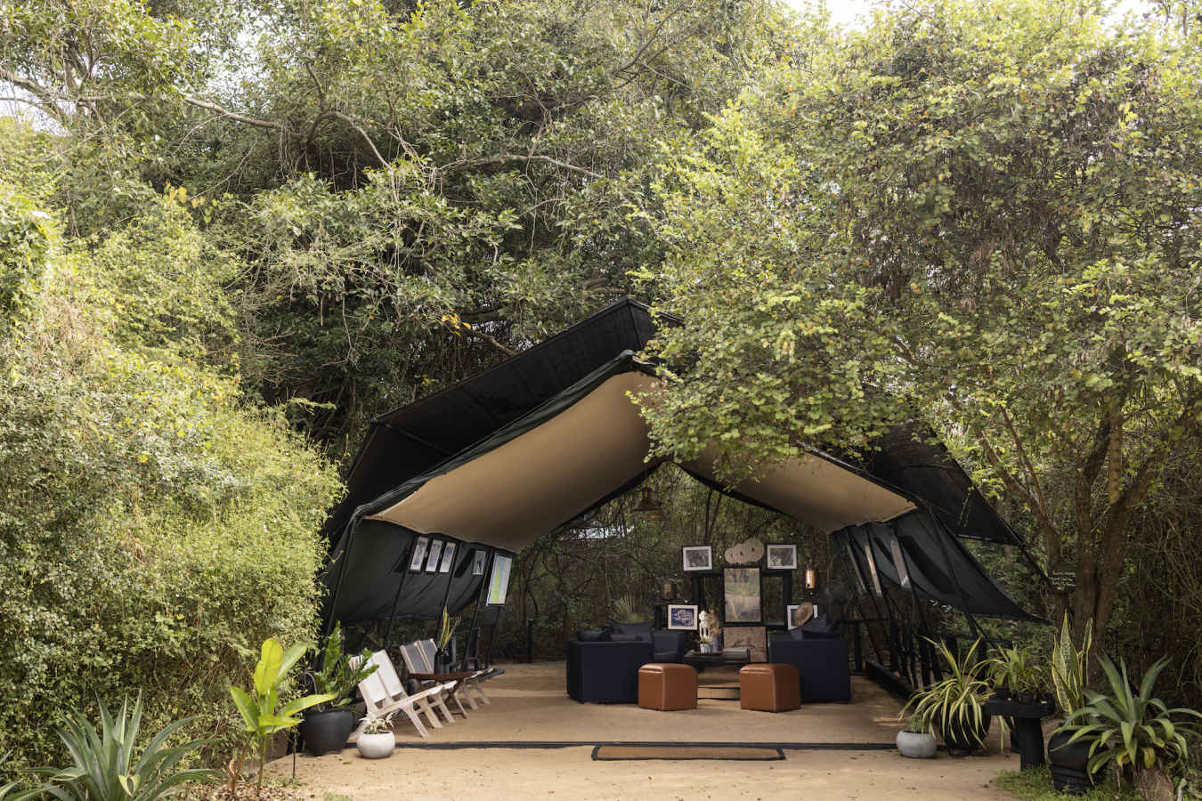 Lobby - Leopard Trails Wilpattu 