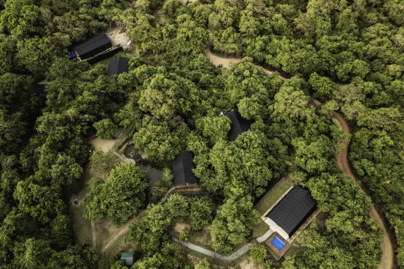 From above - Leopard Trails Wilpattu 