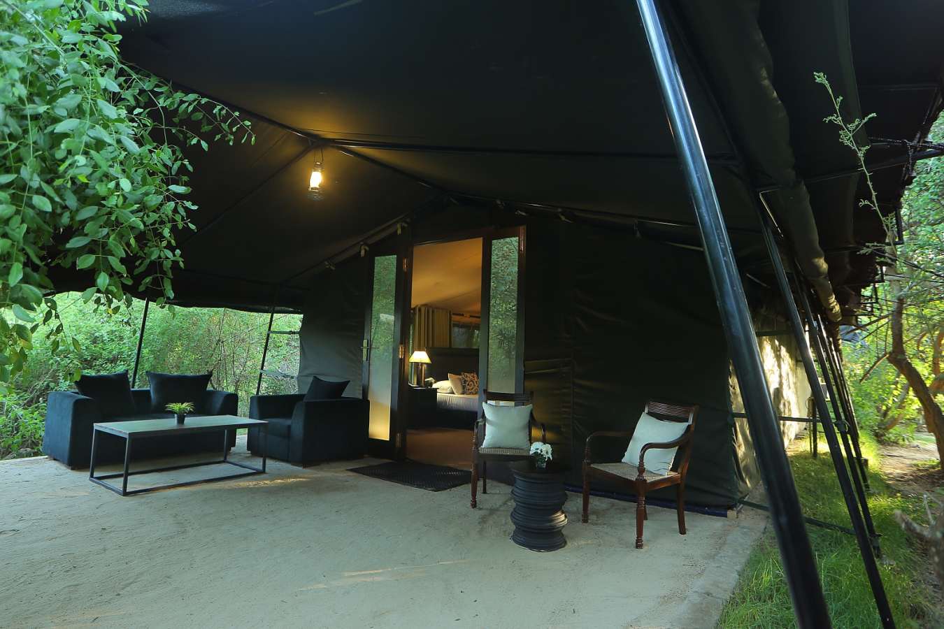 Luxury Room - Leopard Trails