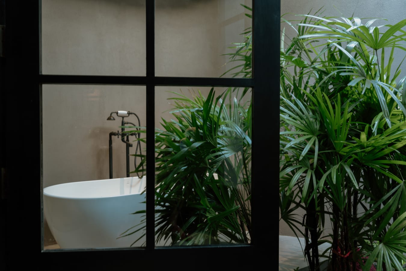 Bathtub - The Six 