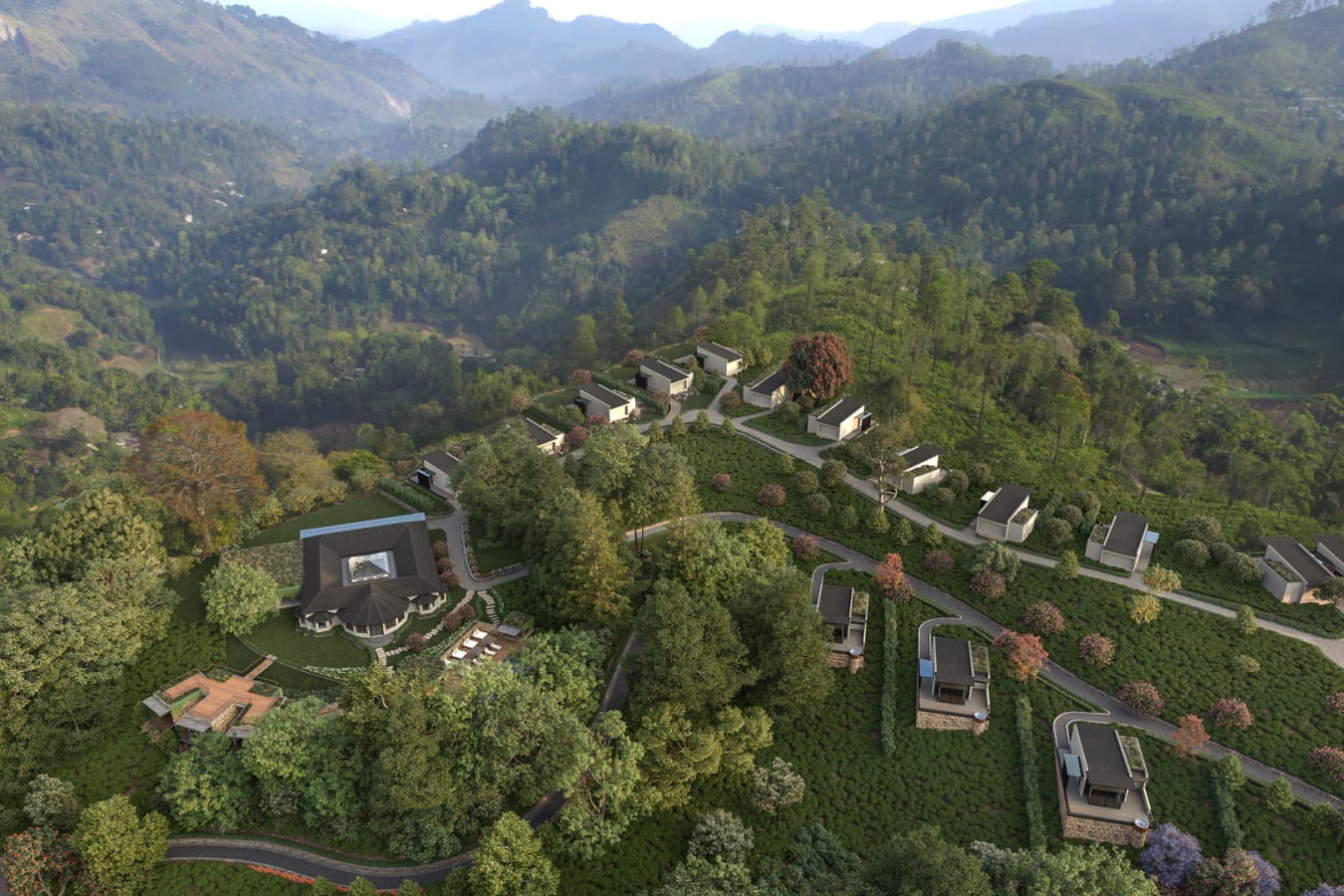 Arial View 