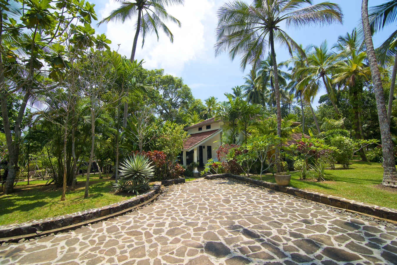 Exteriors - Why House