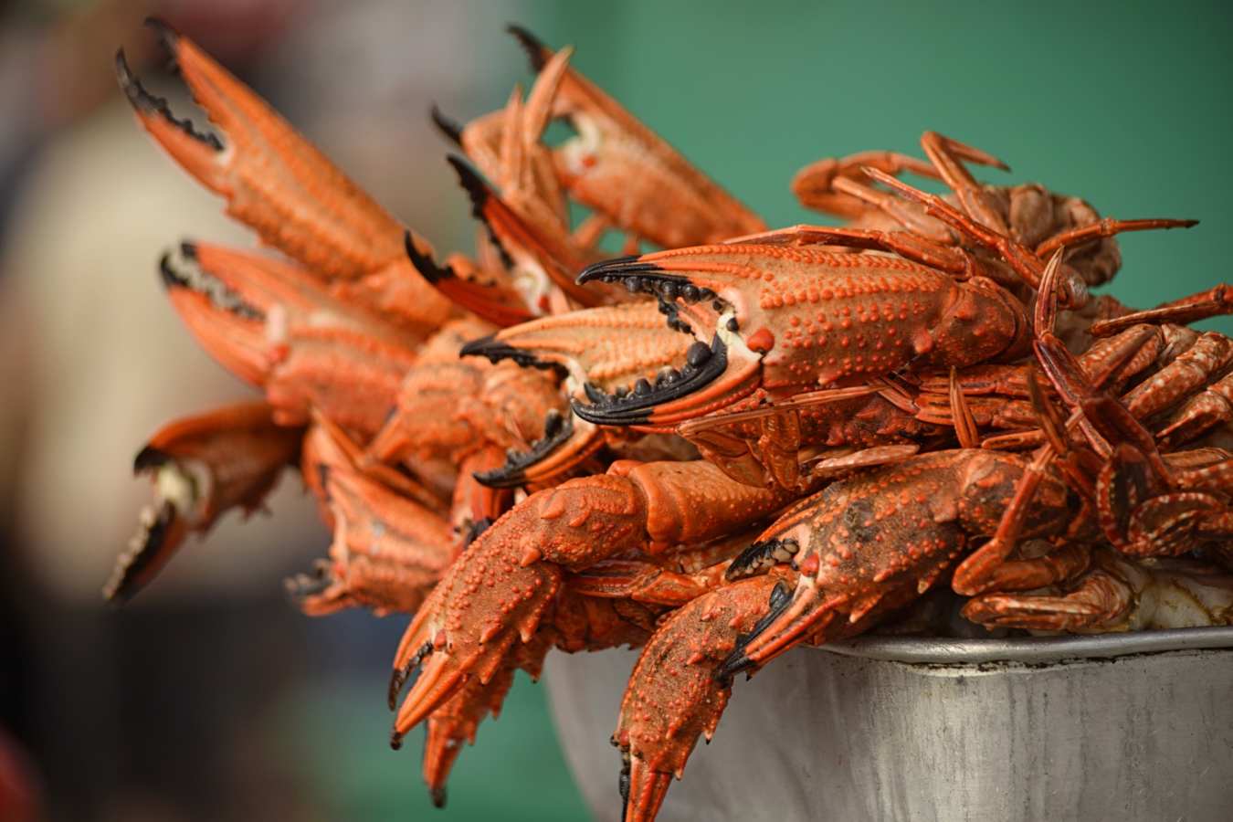 Seafood on the South Coast of Sri Lanka