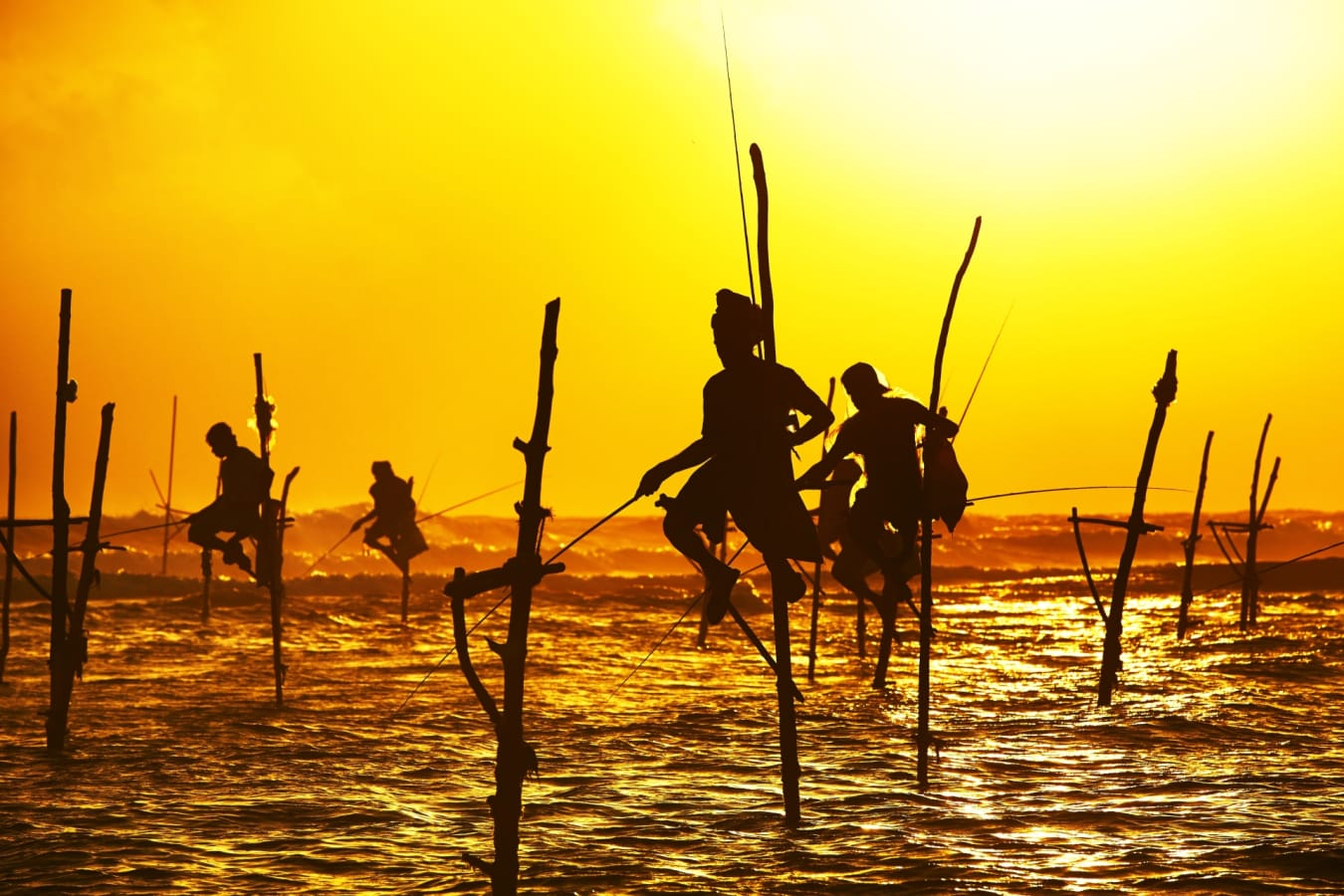 Fisherman on Stilts on South Coast