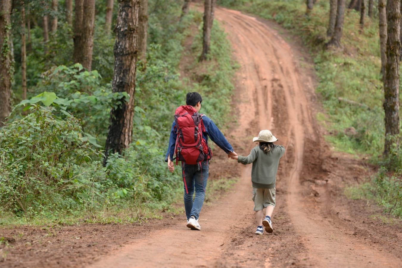 Hiking - Sri Lanka 