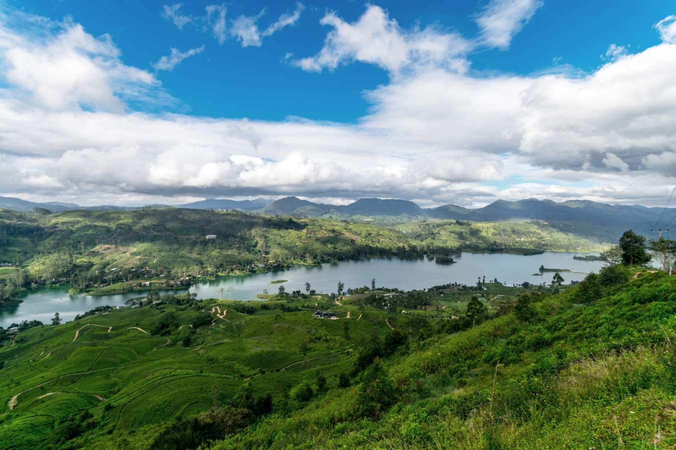 View over Camellia Hills