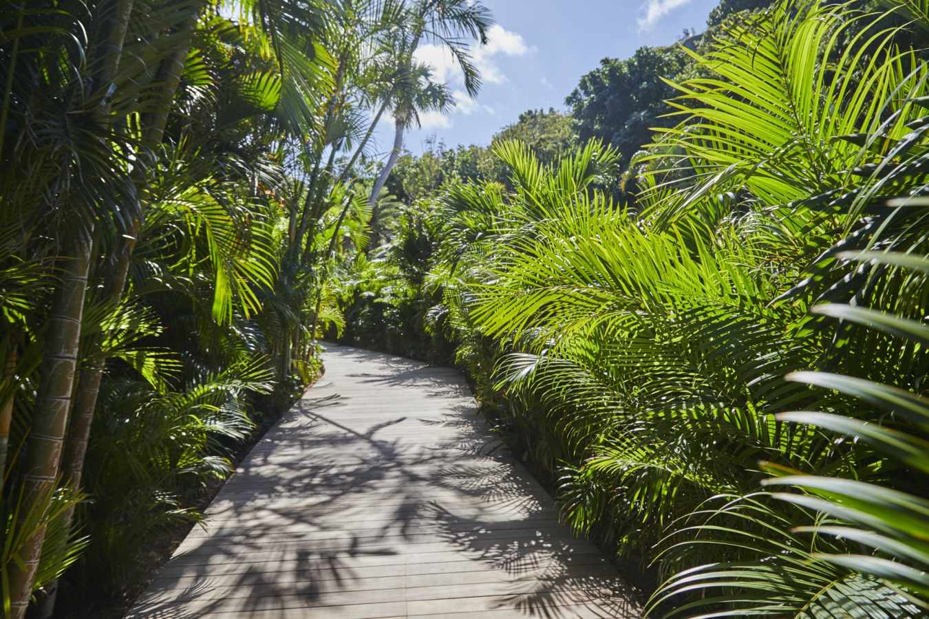 Deck in tropical gardens 