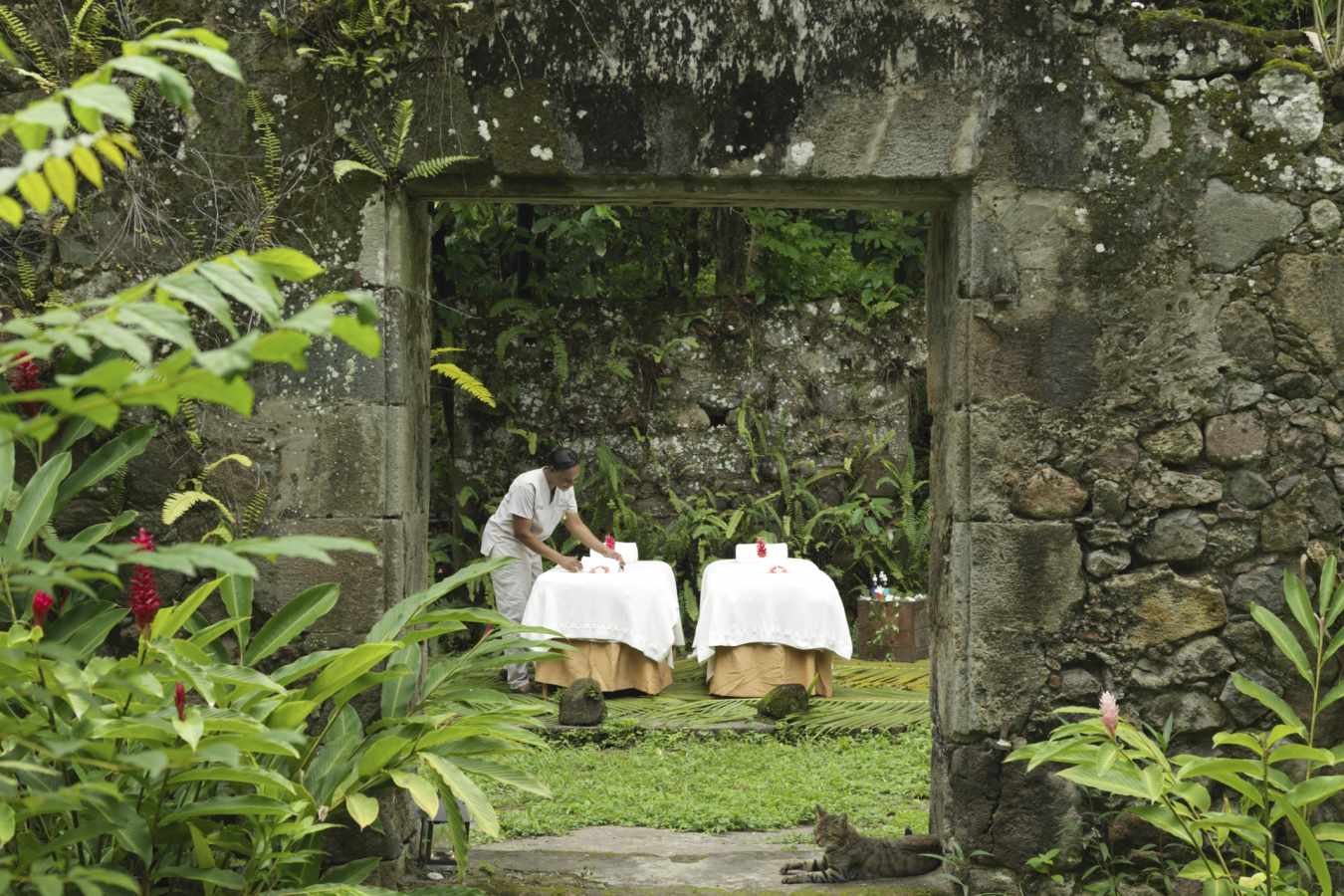 Jungle Spa Experience - Anse Chastanet