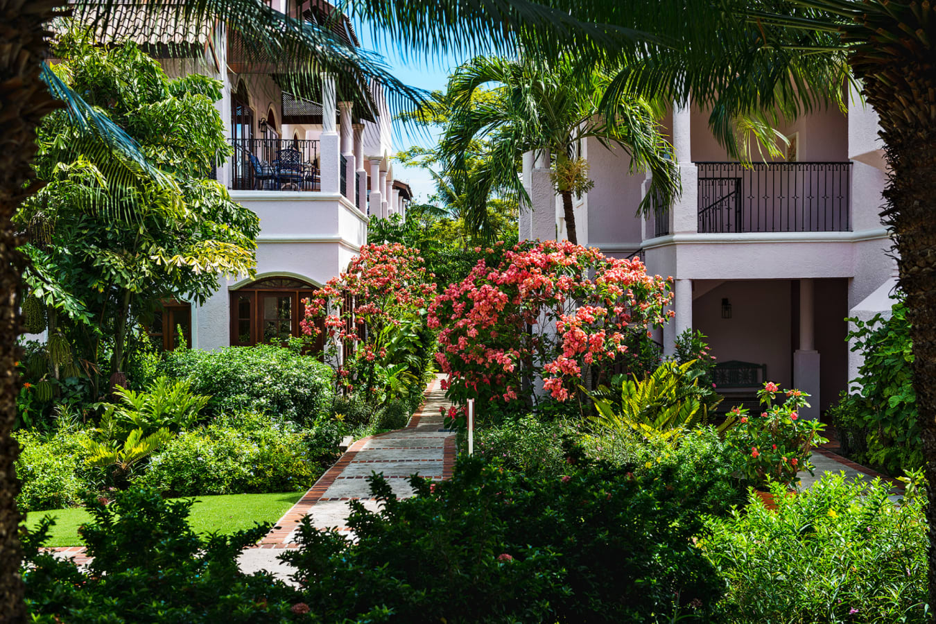 Lushctripicalgardens 
