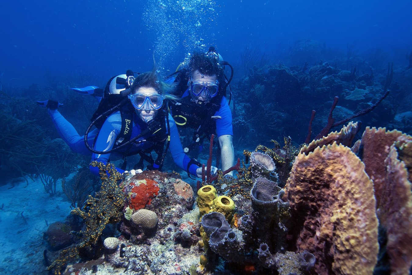 Diving at Petit St Vincent