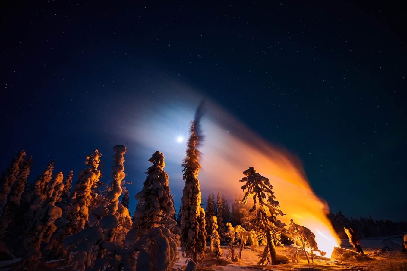 Wilderness - Lapland Guest House