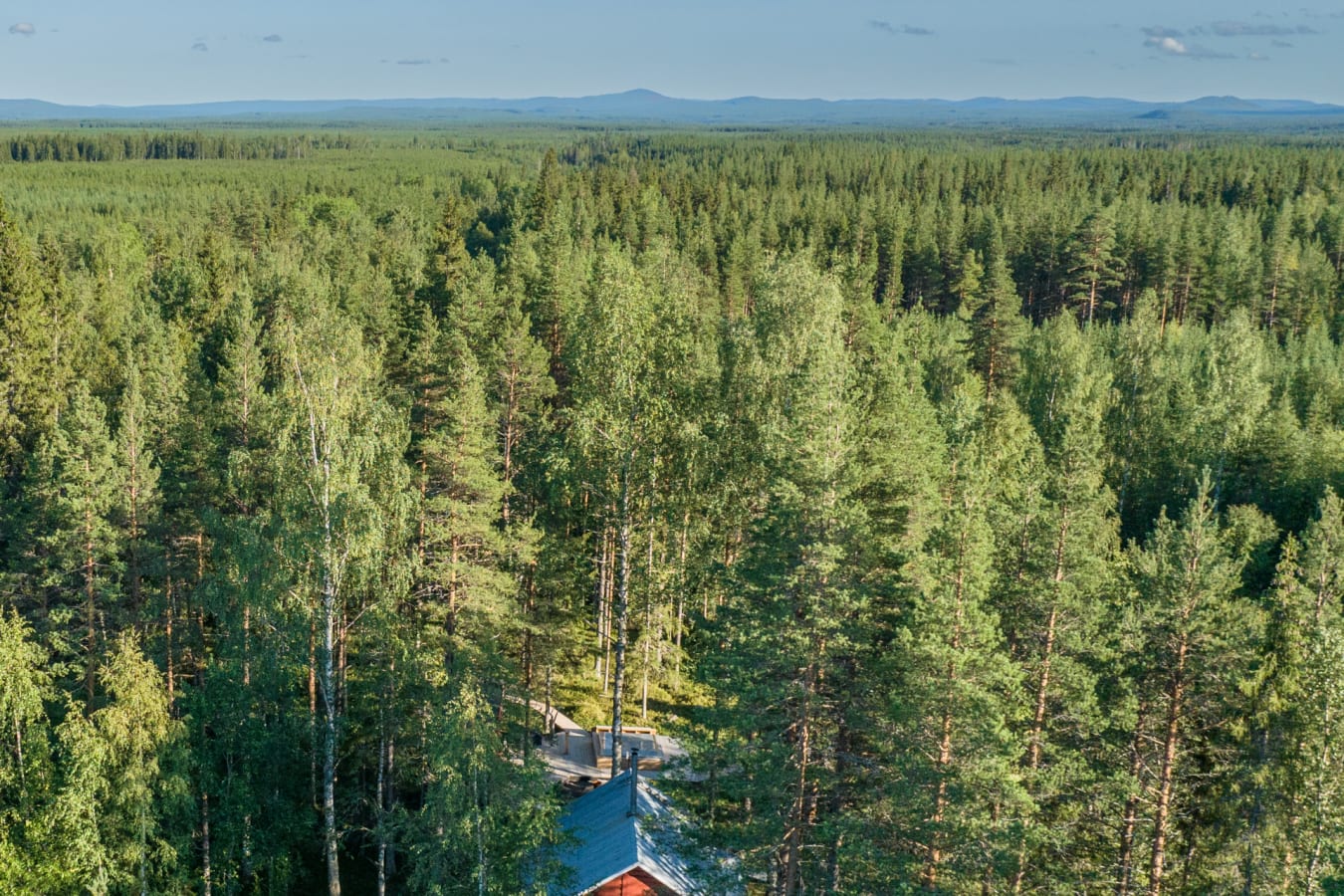 Summer Lodge