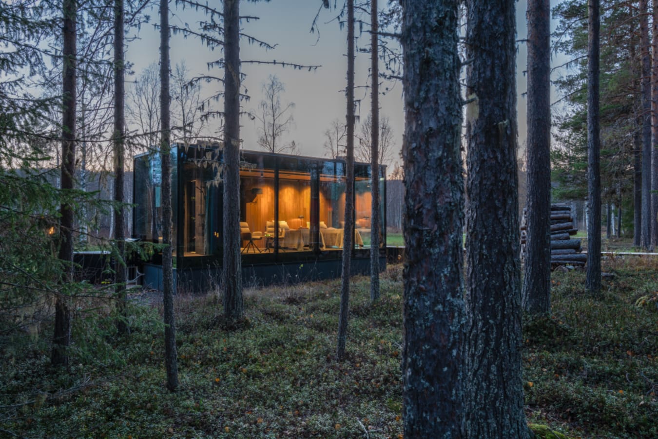 Pod in the Forest