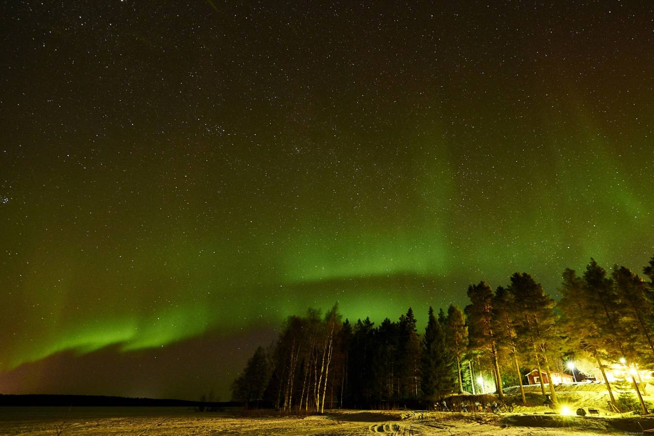 Northern Lights - Pine Bay Lodge