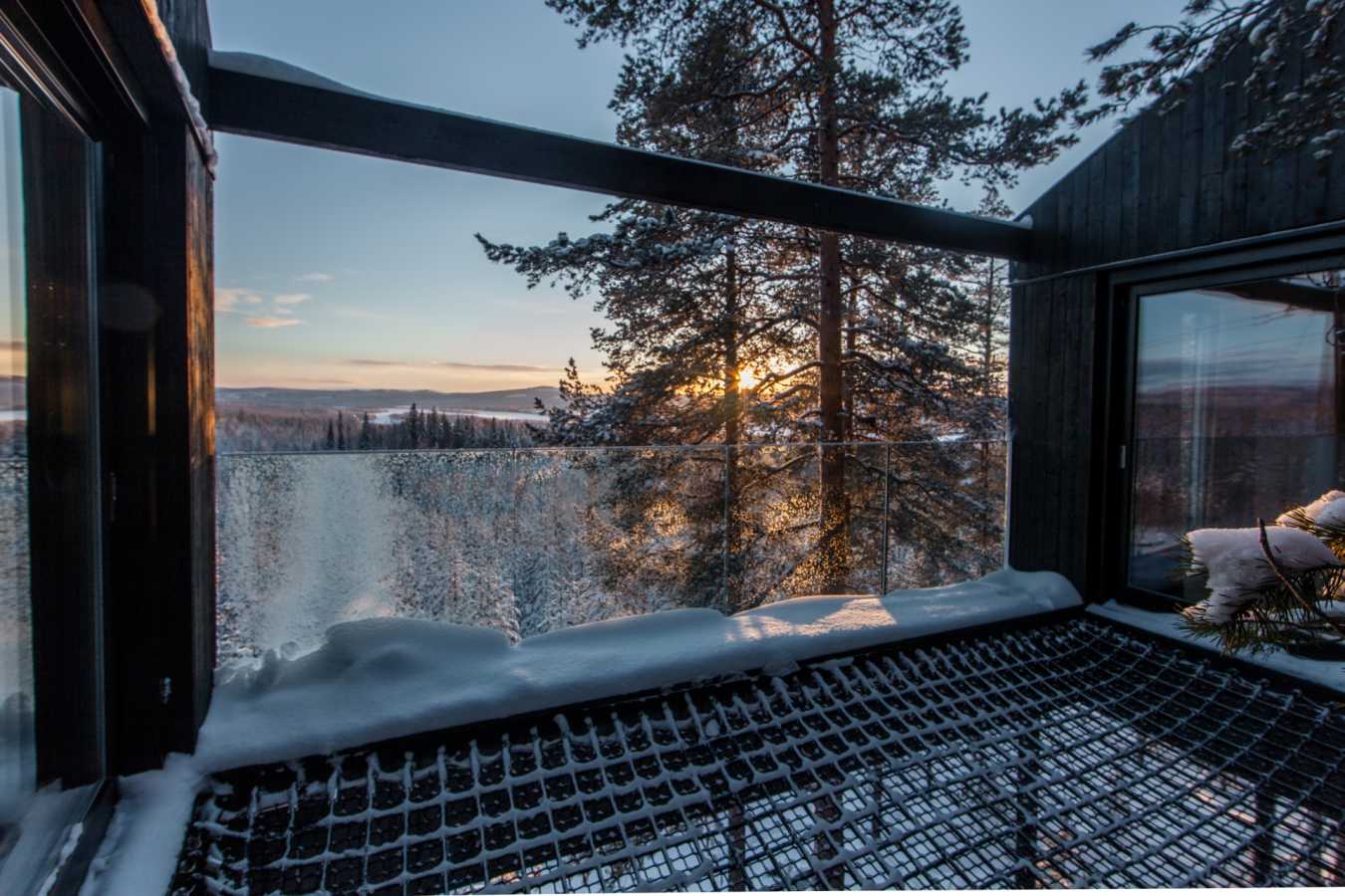 View from The 7th Room - Treehotel