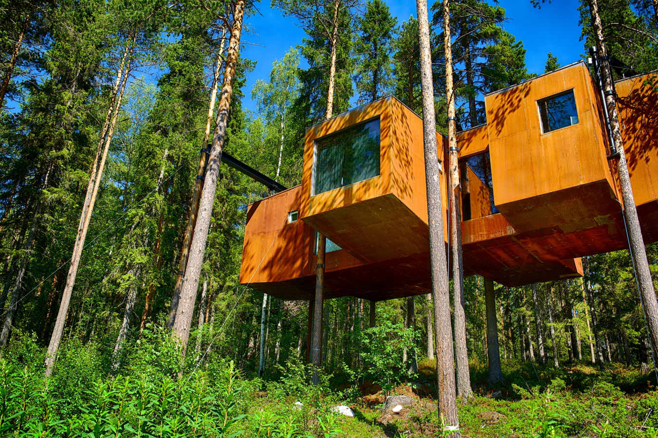 The Dragonfly - Treehotel