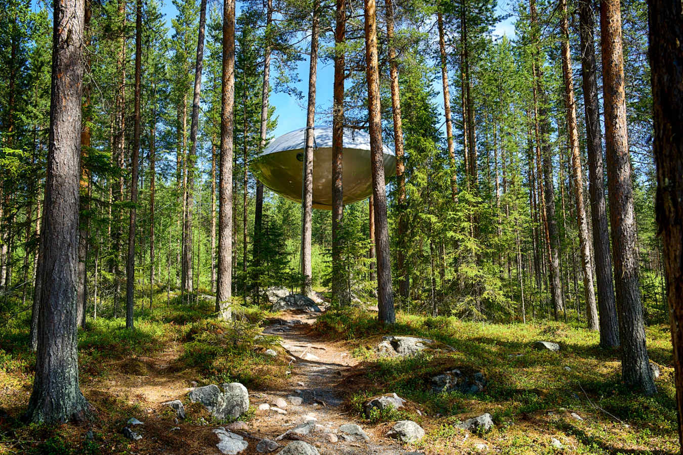 The UFO - Treehotel