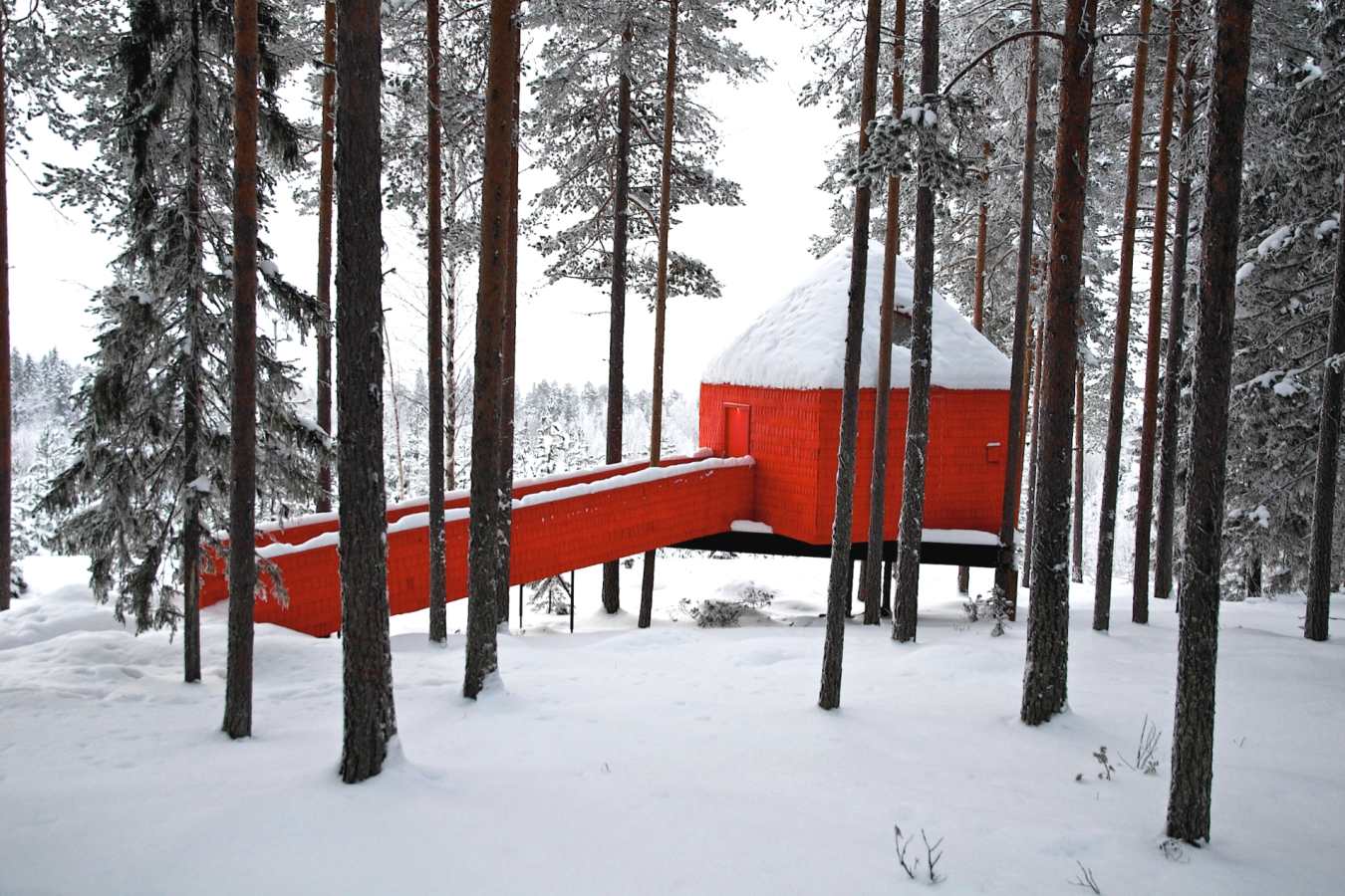 The Blue Cone - Treehotel
