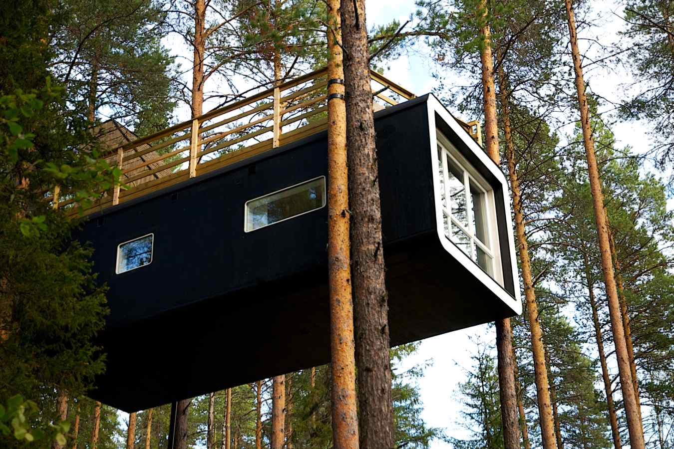 The Cabin - Treehotel