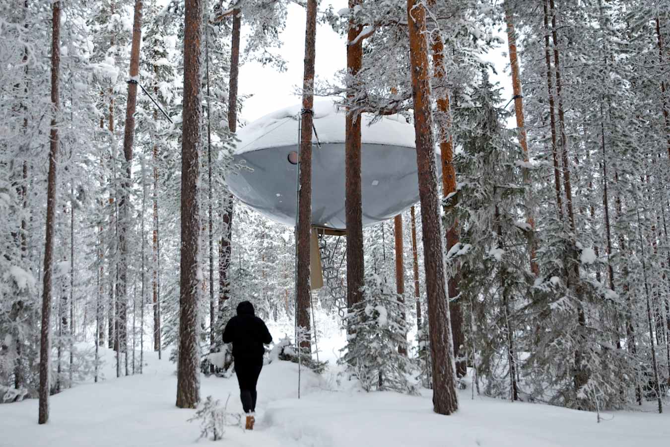 The UFO in the snow - Treehotel