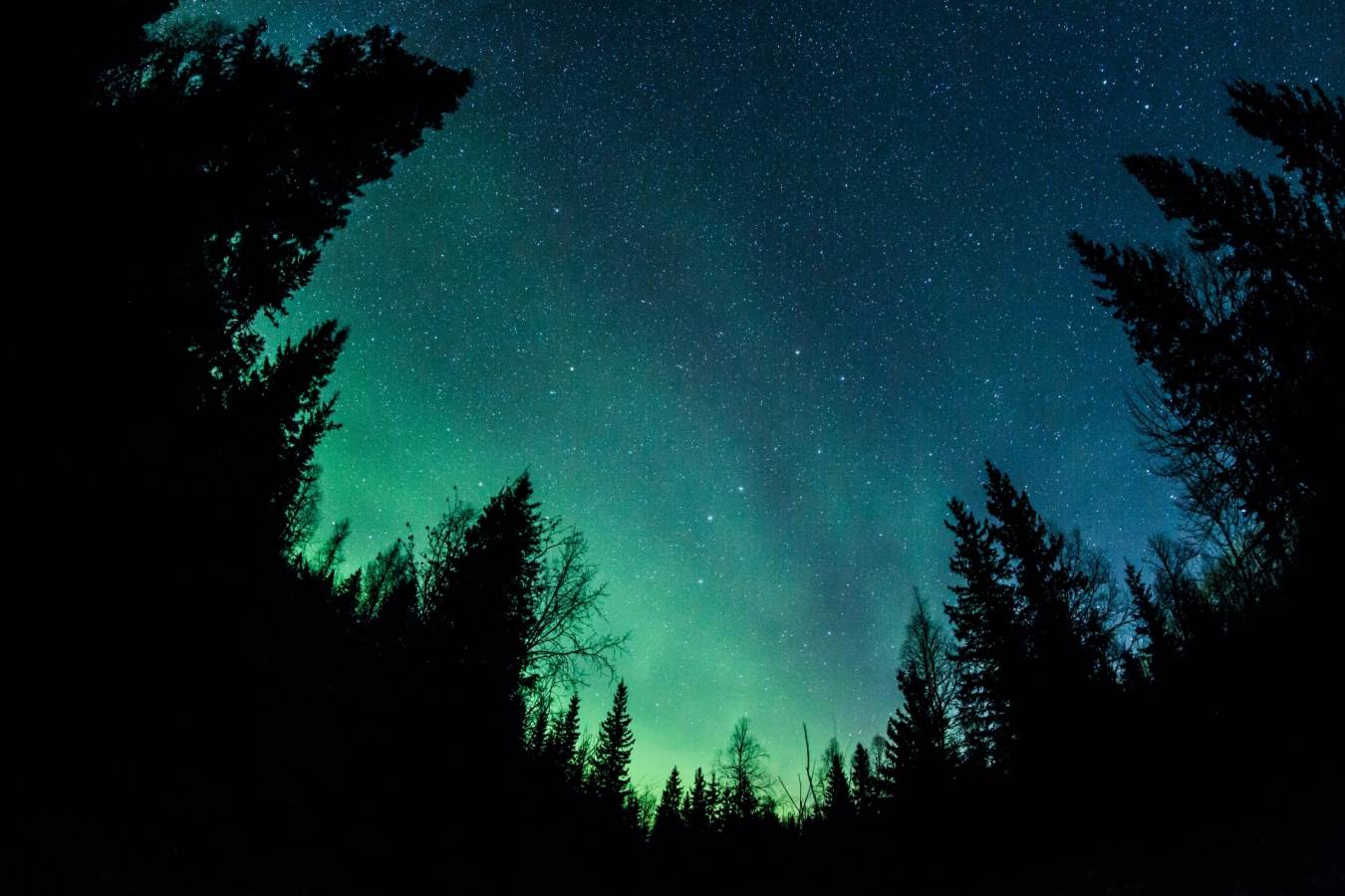 Northern Lights