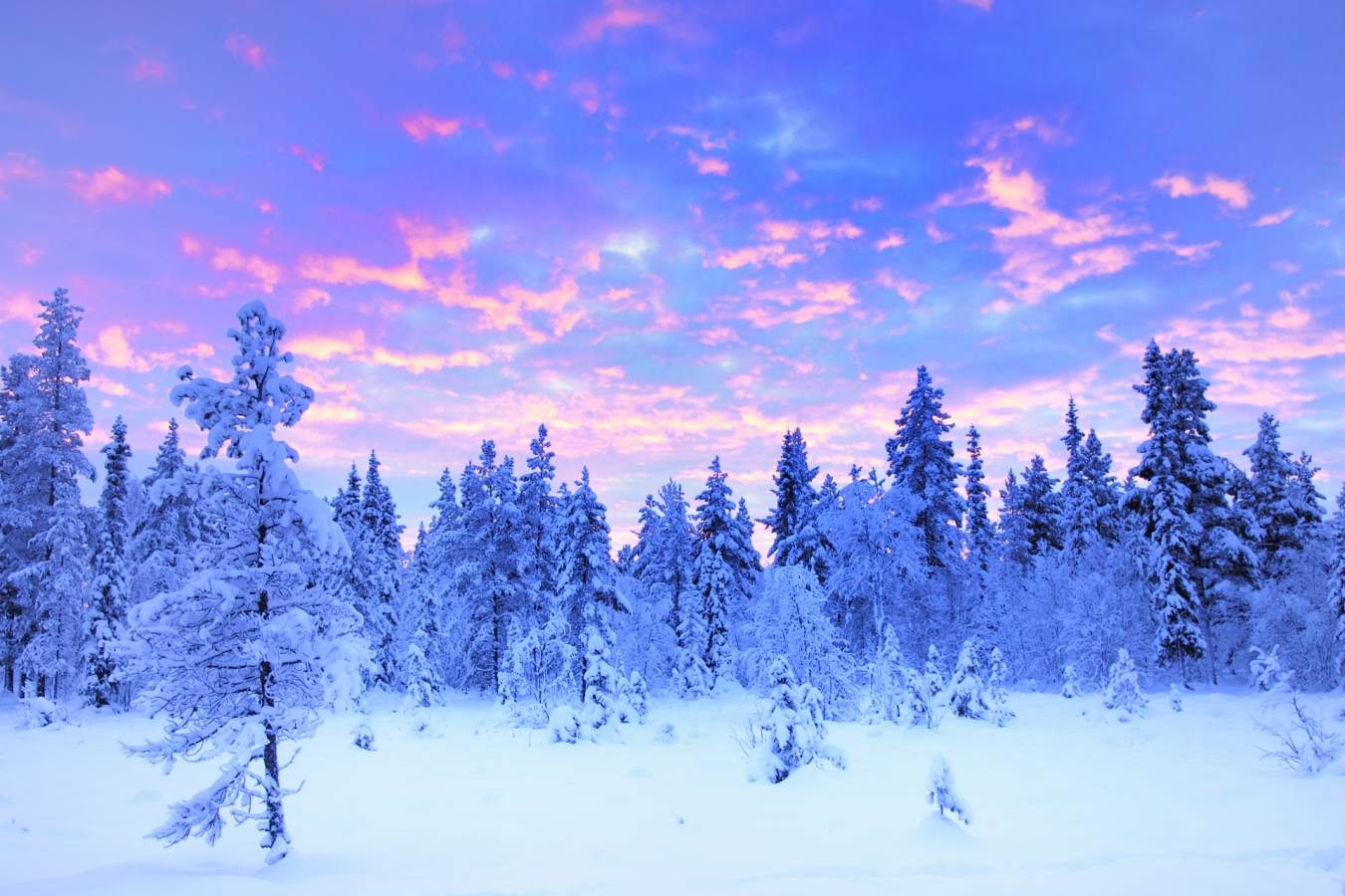 Lapland sunrise - Swedish Lapland for families